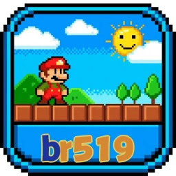 br519