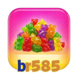 br585
