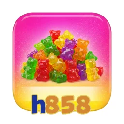 h858